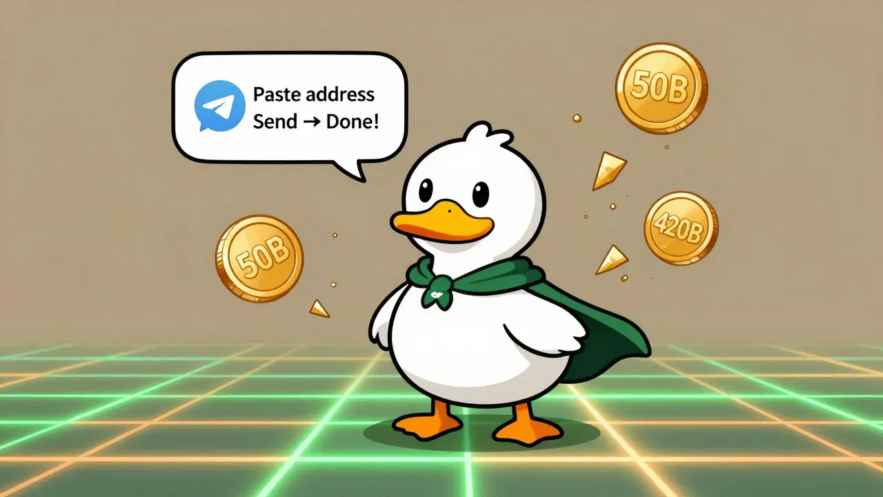 What is Ducky Duck (DUCKY) crypto coin? Solana memecoin explained with real data