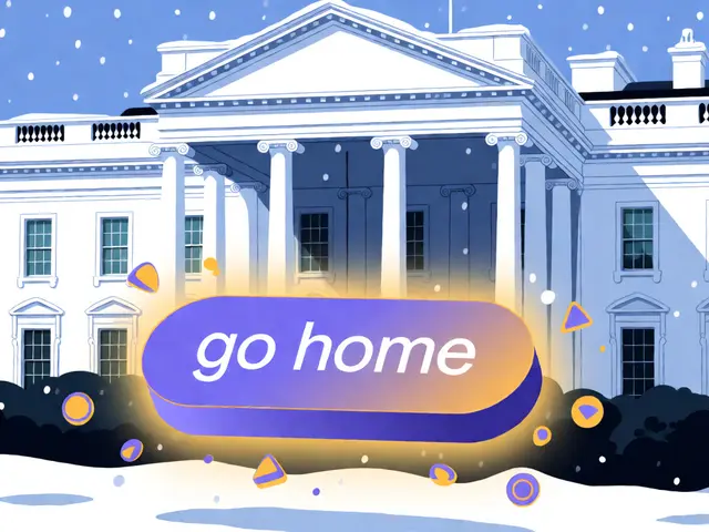 What is GOHOME (GOHOME) Crypto? The $200 Meme Coin Explained